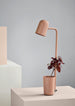 Buddy table warm beige plant Photo Chris Tonnesen