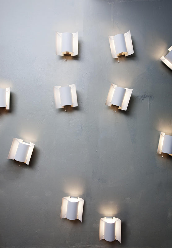 Butterfly bunch Photo Tom Gustavsen