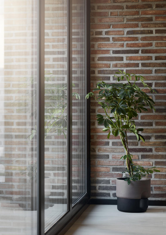 Oasis large black tree Photo Chris Tonnesen