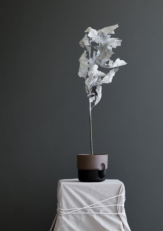 Oasis small black artsy Photo Chris Tonnesen